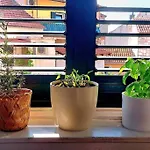 Apartman Ora, On The Sea. *