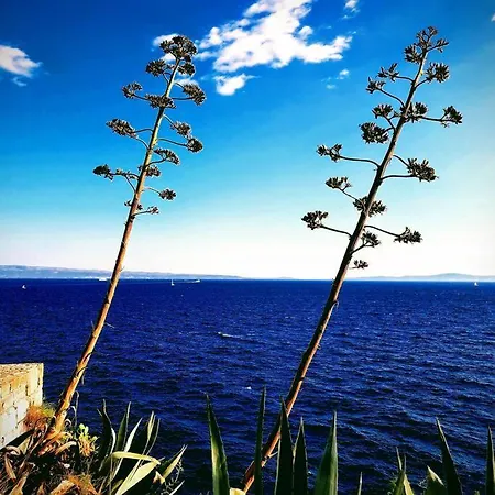 Ora, On The Sea. * ספליט