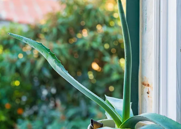 شقة Ora, On The Sea.